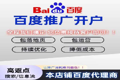 实战解析：百度竞价排名服务成功案例